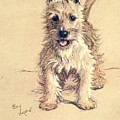 A Dozen Dogs or So, Westie