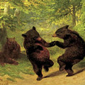 Dancing Bears
