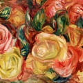 Roses 1912